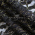 Кружевное полотно XD LACE 1-4, 80 гр/м2, шир.150см, цвет чёрный - купить в Новокуйбышевске. Цена 245.94 руб.