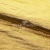 Текстильный материал "Диско"#1805 с покрытием РЕТ, 40гр/м2, 100% полиэстер, цв.5-золото - купить в Новокуйбышевске. Цена 416.57 руб.