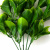 Трава искусственная -1, шт (эвкалипт лист 32 см/8 см)				 - купить в Новокуйбышевске. Цена: 169.93 руб.