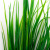 Трава искусственная -2, шт (осока 41см/8 см)				 - купить в Новокуйбышевске. Цена: 104.57 руб.