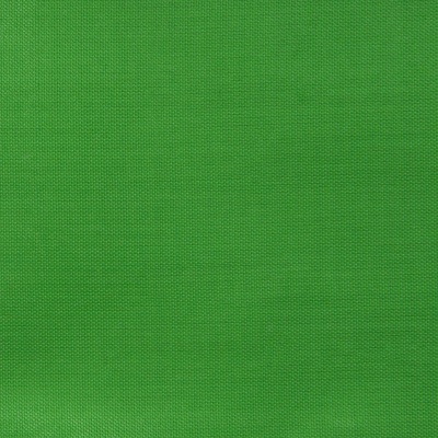 Ткань подкладочная Таффета 17-6153, 48 гр/м2, шир.150см, цвет трава - купить в Новокуйбышевске. Цена 54.64 руб.