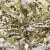 Трикотажное полотно, Сетка с пайетками, шир.130 см, #315, цв.-белый/золото - купить в Новокуйбышевске. Цена 693.39 руб.