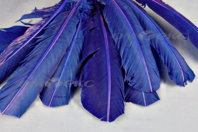 Декоративный Пучок из перьев, перо 23см/синий - купить в Новокуйбышевске. Цена: 12.34 руб.